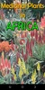 Medicinal Plants in Africa screenshot 5