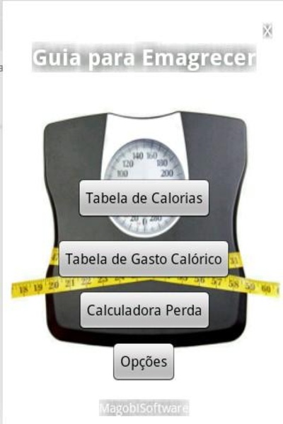 Guia para Emagrecer - Preview 2