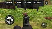 Chicken Shoot screenshot 8