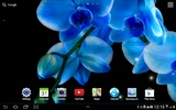 Orchids Live Wallpaper screenshot 3