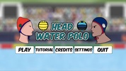 Head Water Polo Demo screenshot 5