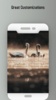 Love bird Live wallpaper screenshot 3