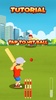 Street Cricket screenshot 11