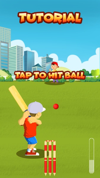 Street Cricket - Preview 11