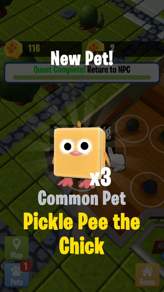 Pet Quest - Preview 12