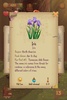 Flower Book Match3 Puzzle Game screenshot 5