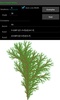 L-Systems Explorer Free screenshot 3
