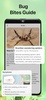 Insect ID screenshot 7