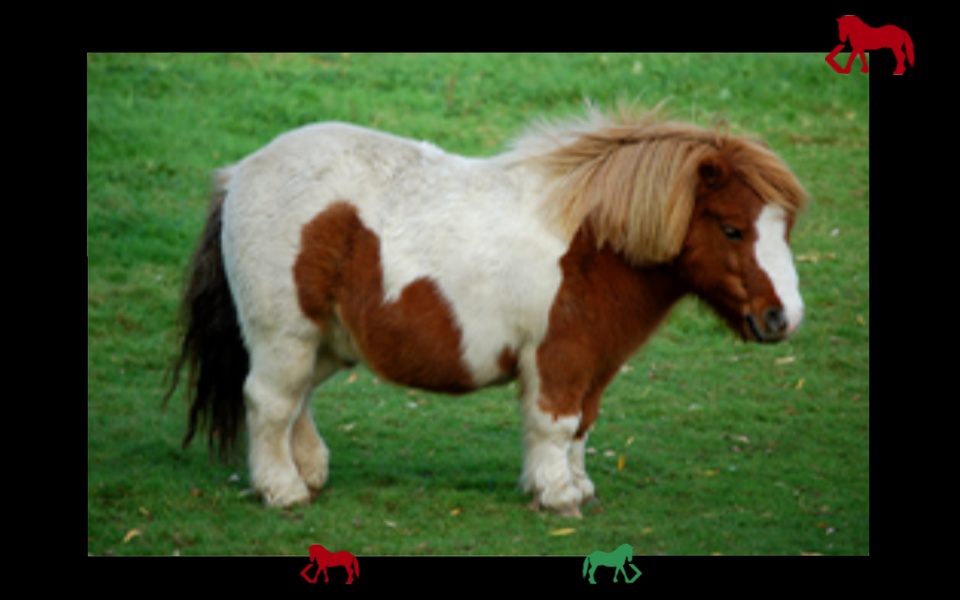 poniesandgamesforbabies - Preview 6