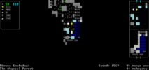 Dwarf Fortress screenshot 2