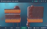 Bacteria interactive educational VR 3D screenshot 1