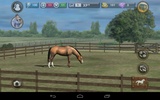 My Horse screenshot 8
