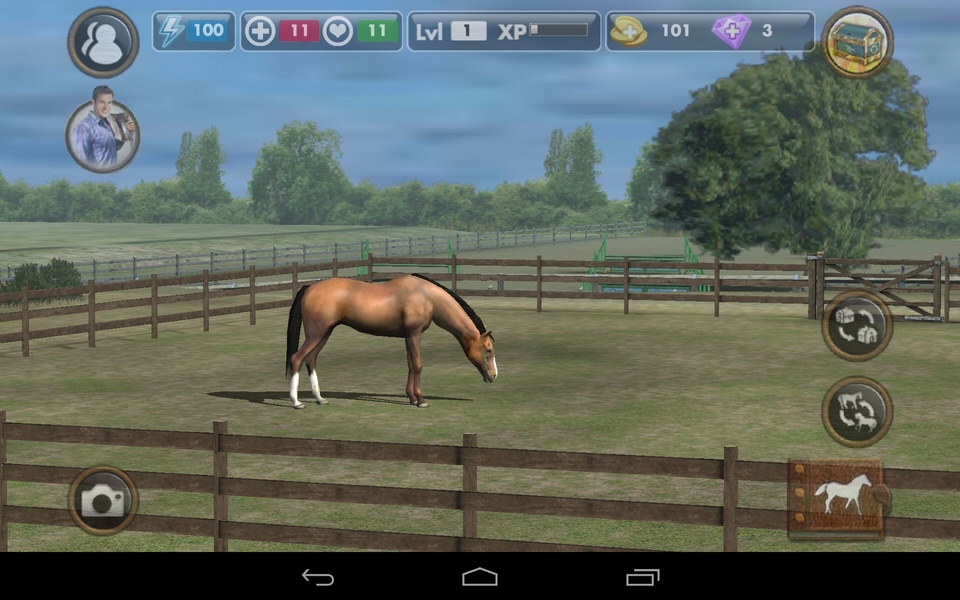 My Horse - Preview 8
