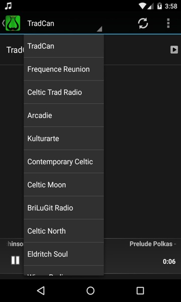 The Celtic Music Radio - Preview 1
