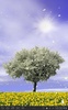 Spring Trees Free screenshot 8