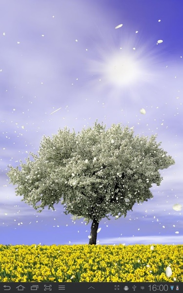 Spring Trees Free - Preview 8