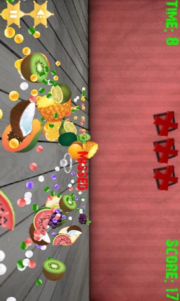 Fruit Shoot Ninja - Preview 4