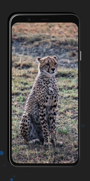 Leopard Wallpapers - Preview 3