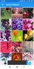 Spring Wallpaper: HD images, Free Pics download screenshot 8