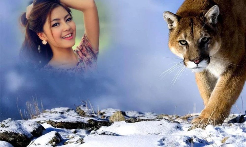 Animal Photo Frame - Preview 3