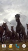 Wild Horses Live Wallpaper screenshot 9