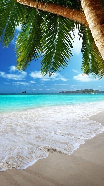 Beach Live Wallpaper - Preview 3