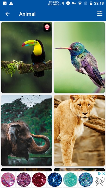 GIF For WhatsApp - Preview 5
