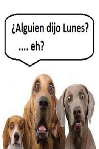 Imagenes para tu Messenger - Preview 3