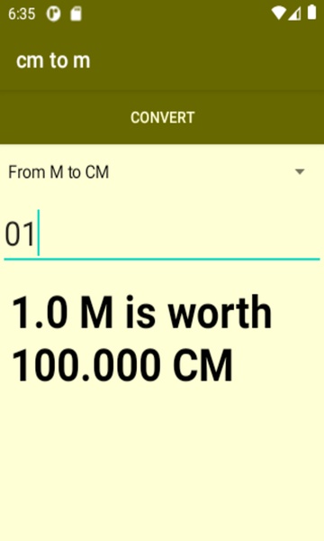 cm to m converter - Preview 1