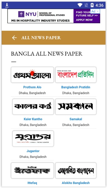News paper - Preview 5