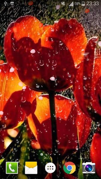 Rose Drops Live Wallpaper - Preview 6