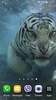 Tiger Video Live Wallpaper screenshot 8