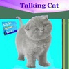 Cat Talking screenshot 2