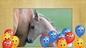 Horse Jigsaw Puzzles Game screenshot 5