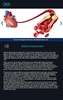 Circulatory System Anatomy screenshot 5