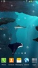 3D Sharks Live Wallpaper screenshot 6