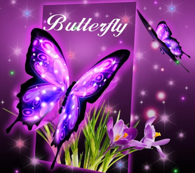 3D Butterfly - Preview 6