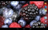 Fruits And Water Free screenshot 9