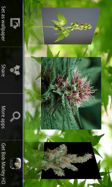 Hemp Wallpapers - Preview 6