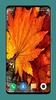 Autumn Wallpaper 4K screenshot 1