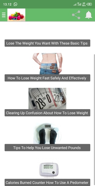 Healthy Life Guide - Preview 1