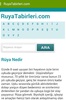 RuyaTabirleri.com screenshot 2