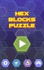 Hex Blocks Puzzle screenshot 12