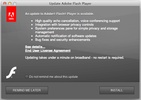 Adobe Flash Player screenshot 3