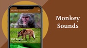 Monkey Sounds screenshot 9