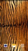 Animal Print Fondos screenshot 6