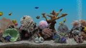 Marine Aquarium 3.2 screenshot 10