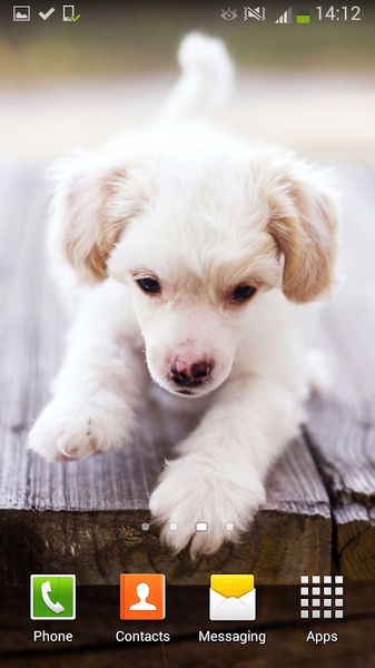 Cute Dogs Live Wallpaper - Preview 5