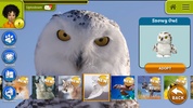 Earth Rangers for Android - Download the APK from Uptodown