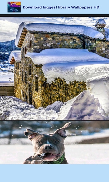 Winter Wallpapers HD - Preview 2